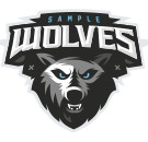 https://freebug-basket.ch/wp-content/uploads/2022/09/team_logo_05.png