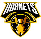 https://freebug-basket.ch/wp-content/uploads/2022/09/team_logo_06.png