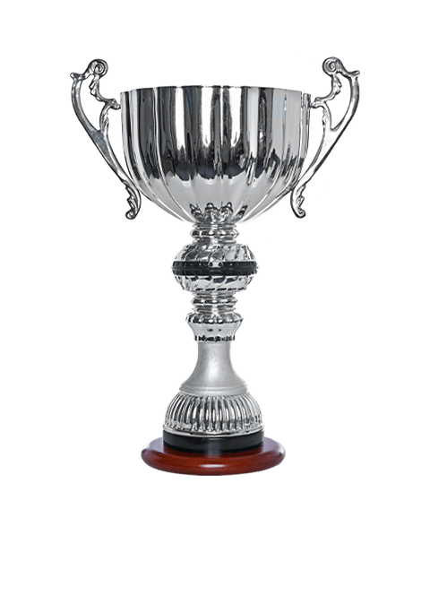 https://freebug-basket.ch/wp-content/uploads/2022/11/trophy_01.png