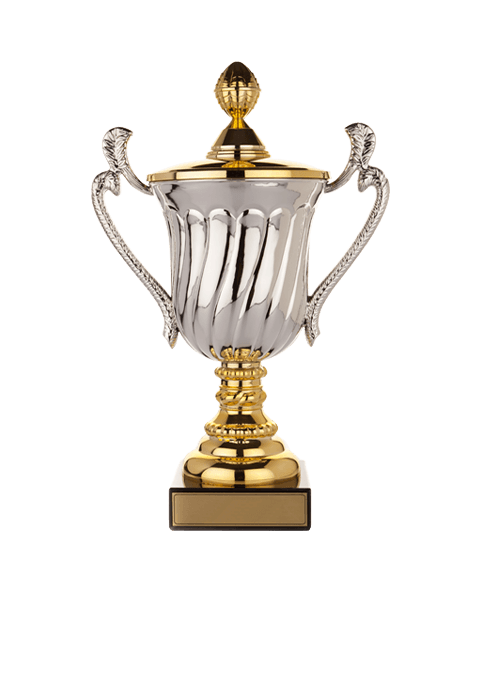 https://freebug-basket.ch/wp-content/uploads/2022/11/trophy_02.png