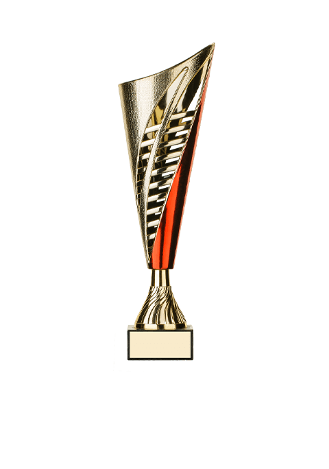 https://freebug-basket.ch/wp-content/uploads/2022/11/trophy_05.png