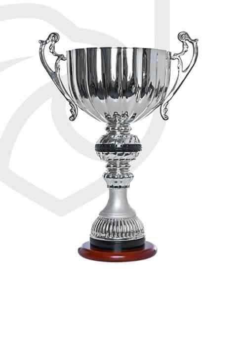 https://freebug-basket.ch/wp-content/uploads/2022/11/trophy_overlay_01.jpg