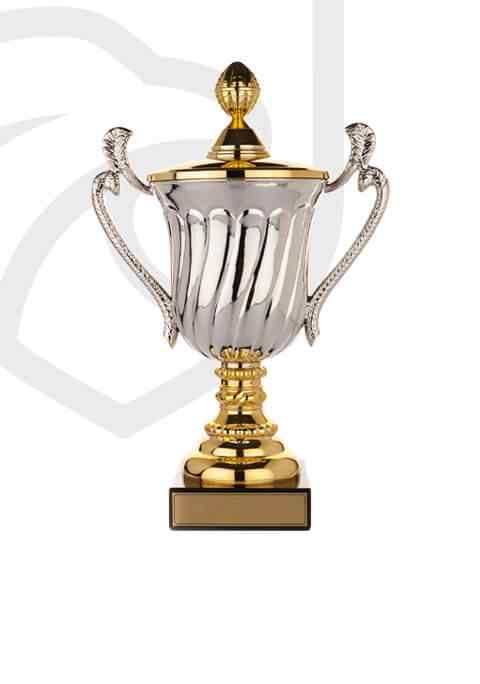 https://freebug-basket.ch/wp-content/uploads/2022/11/trophy_overlay_02.jpg