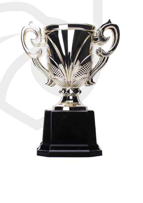 https://freebug-basket.ch/wp-content/uploads/2022/11/trophy_overlay_04.jpg